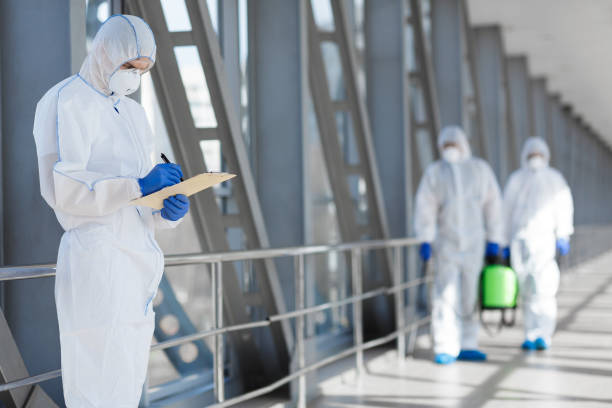  Bethel, AK Mold Removal Pros