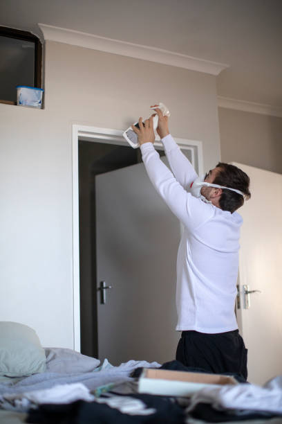 Reliable Bethel, AK Mold Removal Solutions