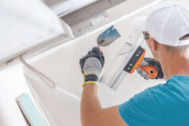 Best Residential Mold Inspection & Testing  in Bethel, AK